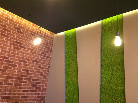 Perete de licheni stabilizați – GJC Sun Plaza, foto 9 din 19